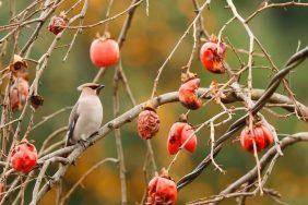 whatsapp-image-2024-01-30-at-12-23-03