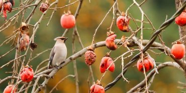 whatsapp-image-2024-01-30-at-12-23-03