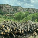 whatsapp-image-2024-02-02-at-14-11-57