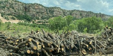 whatsapp-image-2024-02-02-at-14-11-57