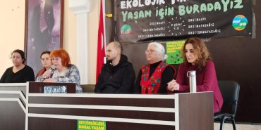 whatsapp-image-2024-02-05-at-130731