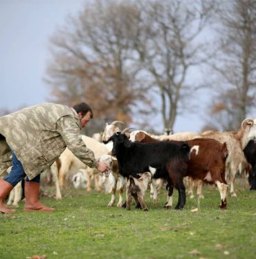 AA-20240301-33850625-33850618-YILDIZ_DAGLARININ_ETEKLERINDE_OGLAK_VE_KUZU_SESLERI_YANKILANIYOR