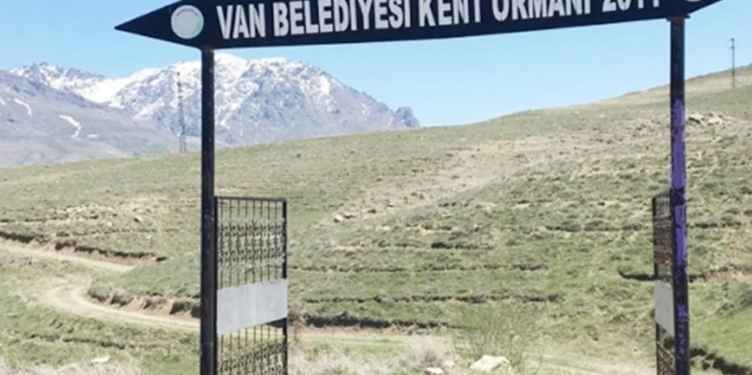 Van Çevre Derneği: Orman fakiri bölgemizde yeşil alanlar yok ediliyor