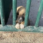 WhatsApp-Image-2022-11-30-at-19.02.18-768x1024