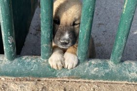 WhatsApp-Image-2022-11-30-at-19.02.18-768x1024