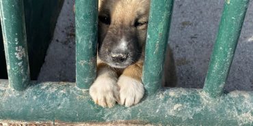 WhatsApp-Image-2022-11-30-at-19.02.18-768x1024