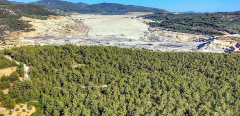 Akbelen Ormanı Çevresindeki Tarım Arazileri Maden Sahası Olarak Kamulaştırıldı