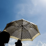 dhaasicak-e1710315777720-800x400