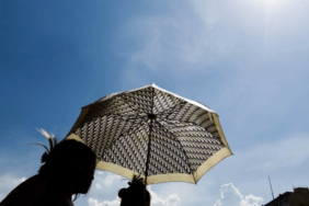 dhaasicak-e1710315777720-800x400