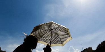 dhaasicak-e1710315777720-800x400