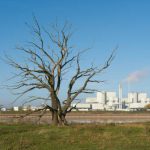 istockphoto-1360622425-612x612