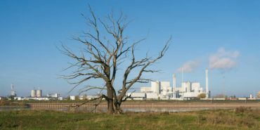 istockphoto-1360622425-612x612