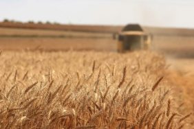 meric-tuna-ce1ovmrzumq-unsplash-800x400 (1)