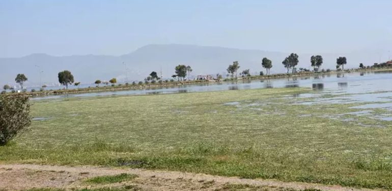 ‘Bataklık’ uyarısı: Ekosistem bozulacak
