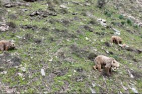 403jpg-Jqs1QAhRpUKu1O-u04g2sg