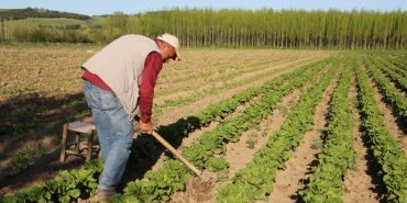 690x390cc-amd-16-04-2024-hevsel-rop2