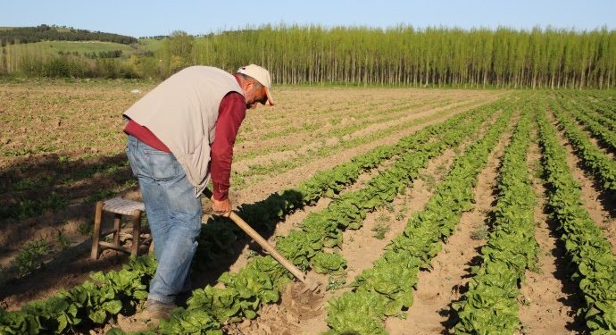 Üretciler, Hevsel Bahçeleri’nde geleneksel tarım üretiminde ısrarcı