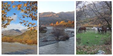 690x390cc-amd-31-03-2024-sarim-havzasi-iptal-edildi1