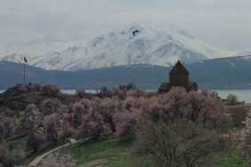 akdamar-adasi-badem-cicekleriyle-renklendi