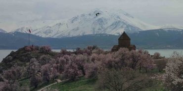 akdamar-adasi-badem-cicekleriyle-renklendi
