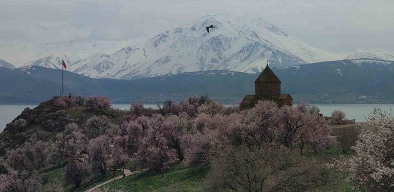 Akdamar Adası badem çiçekleriyle renklendi