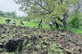 derecikte-imece-usulu-ile-bag-capalama-mesaisi