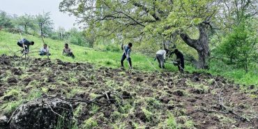 derecikte-imece-usulu-ile-bag-capalama-mesaisi