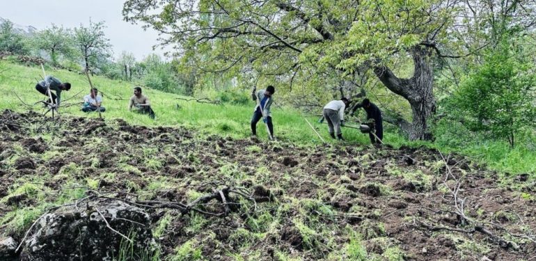 Hakkari’de bahçeler, imece usulü ile çapalanıyor