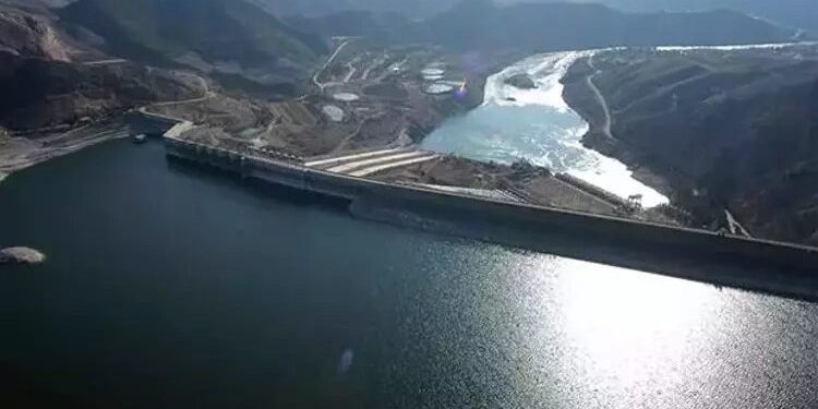 Keban Barajı’nda toplu martı ölümleri: İliç’teki siyanür neden olmuş olabilir