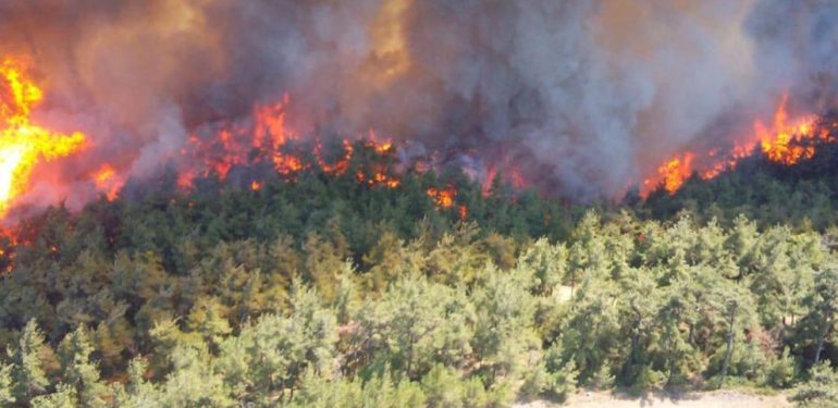 Karadeniz ve İç Anadolu’da da orman yangını tehlikesi var