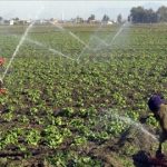 van-da-tarim-arazileri-suyla-bulustu