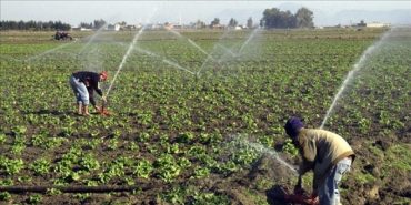 van-da-tarim-arazileri-suyla-bulustu