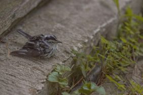 yezhang-wang-rxb5hir-hx0-unsplash-800x400