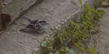 yezhang-wang-rxb5hir-hx0-unsplash-800x400