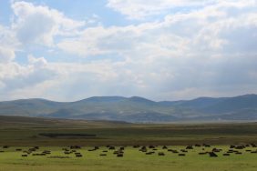 1715605420_Ardahan_yaylalari1_scaled-990x556