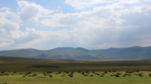 1715605420_Ardahan_yaylalari1_scaled-990x556