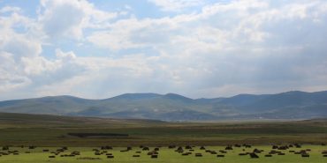 1715605420_Ardahan_yaylalari1_scaled-990x556