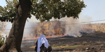 690x390cc-amd-14-05-2024-ekoloji-tahribat-rop2