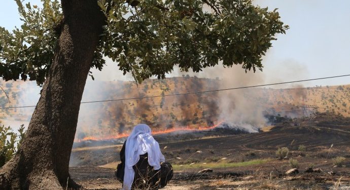 Ekolojist Şener: Tahribat sadece bölge halkının sorunu değil