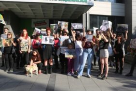 690x390cc-ank-26-05-2024-sokak-hayvanlari-yasa-tasarisi-aciklama4