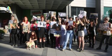 690x390cc-ank-26-05-2024-sokak-hayvanlari-yasa-tasarisi-aciklama4