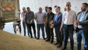 690x390cc-mrd-07-05-2024-merdinde-ilk-arpa-hasadi-yapildi2