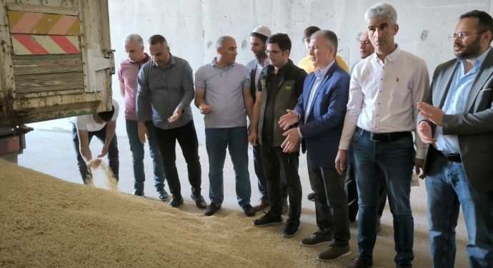 Mardin’de  yılın ilk hasadını yapan çiftçiye altın hediye edildi