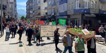 690x390cc-rize-23-05-2024-findikli-cay-eylemi3