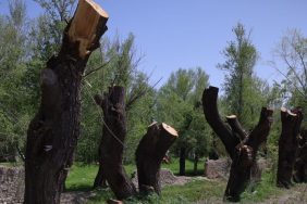 823x463cc-van-06-05-24-tarihi-dogasi-yok-ediliyor-mansettt