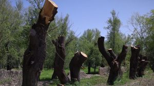 823x463cc-van-06-05-24-tarihi-dogasi-yok-ediliyor-mansettt