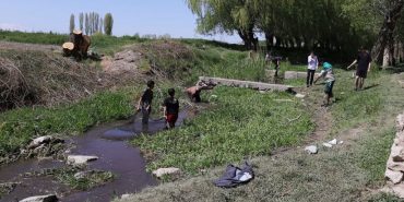 823x463cc-van-07-05-24-inci-kefali-katlediliyor-manset