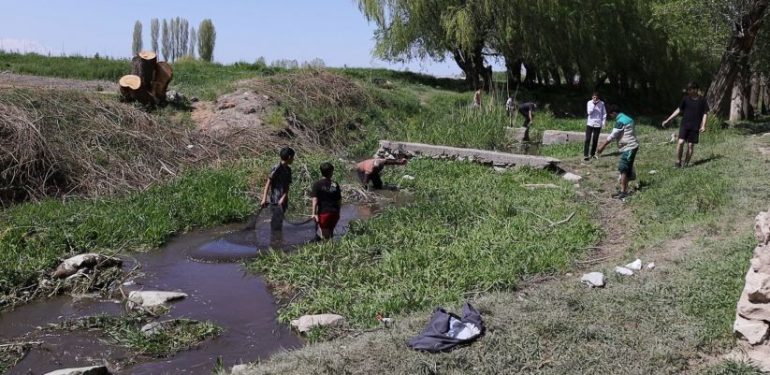 İnci kefali kirlilik ve avlanma tehdidi ile karşı karşıya