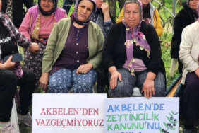 Ekran görüntüsü 2024-05-02 104858