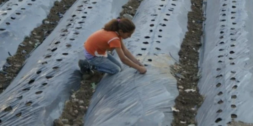 Ekran görüntüsü 2024-05-24 112711